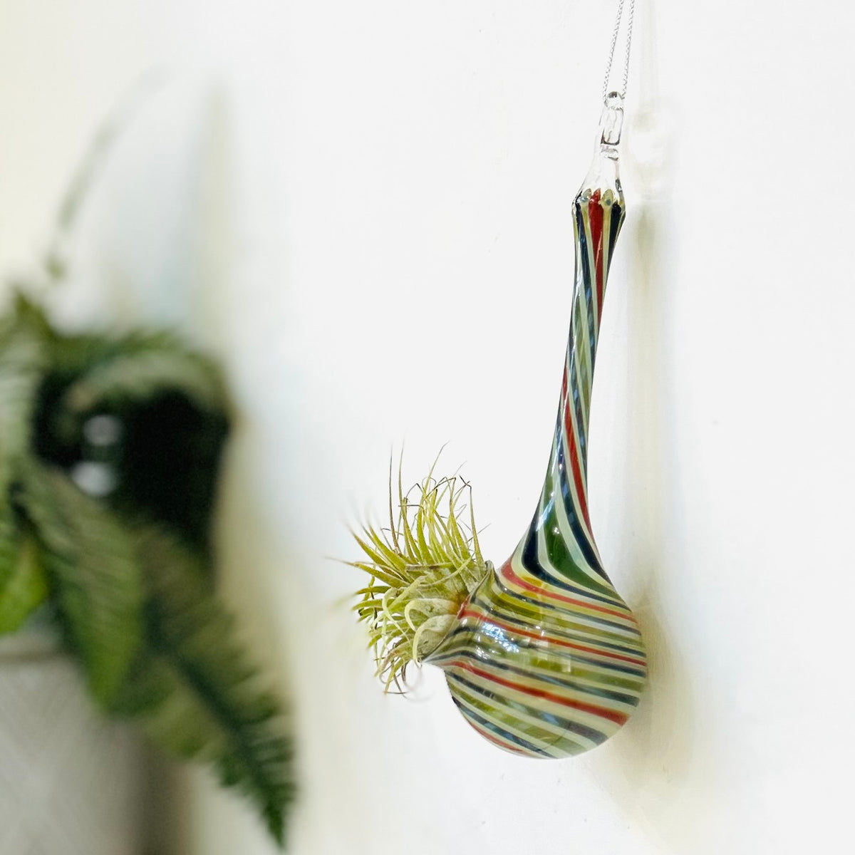 Air Plant Hanging Drop Vase 32