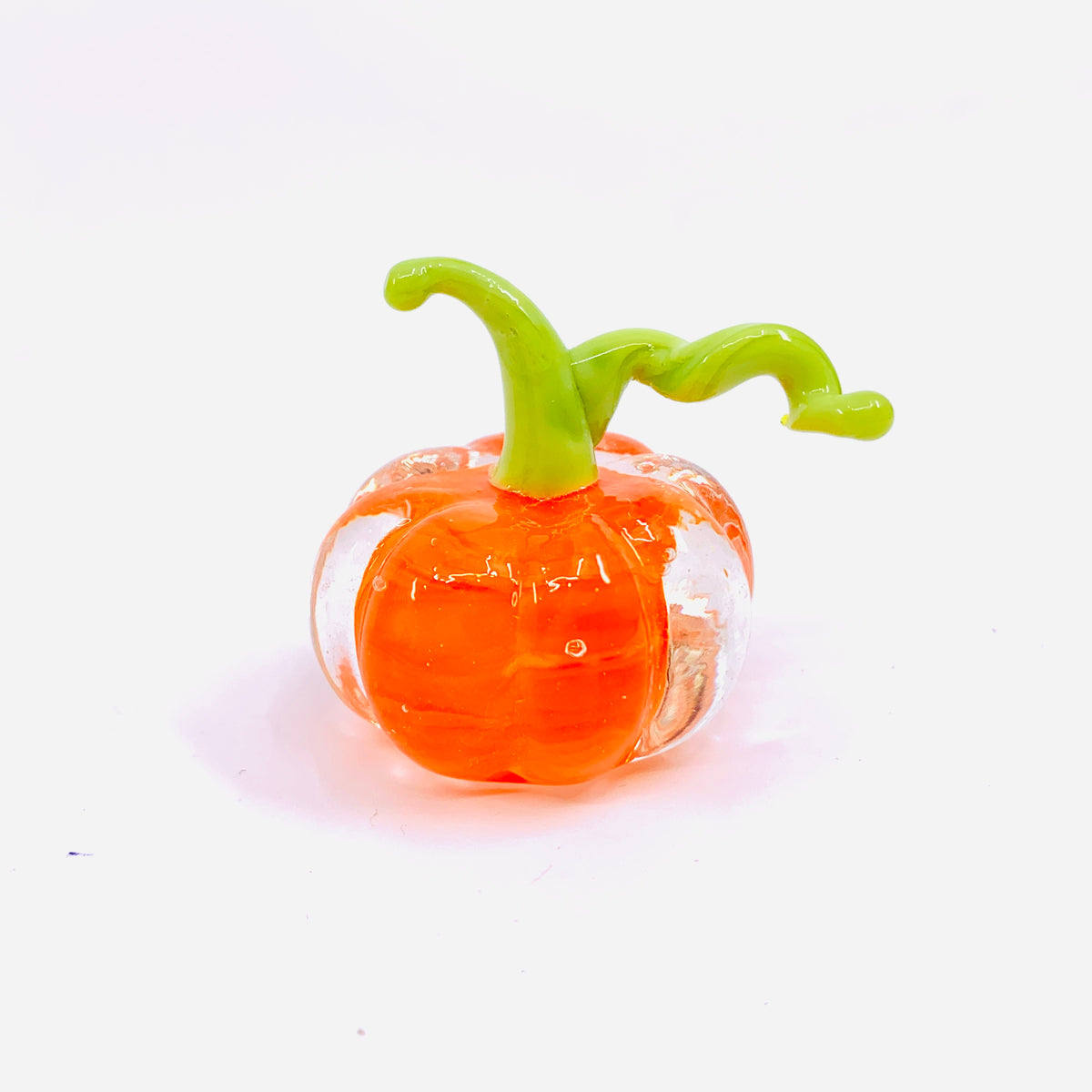 Little Curly Pumpkin, Stalk and Vine