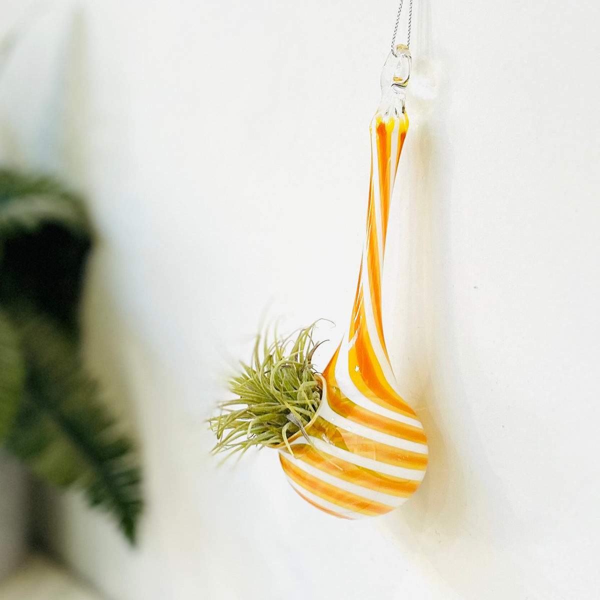 Air Plant Hanging Drop Vase 10