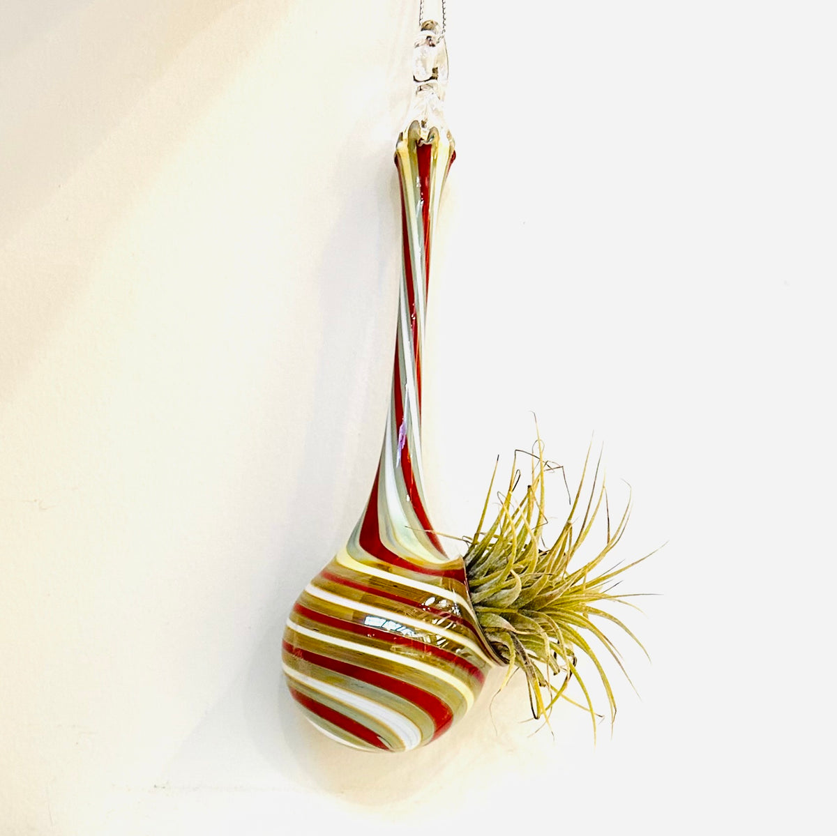 Air Plant Hanging Drop Vase 6