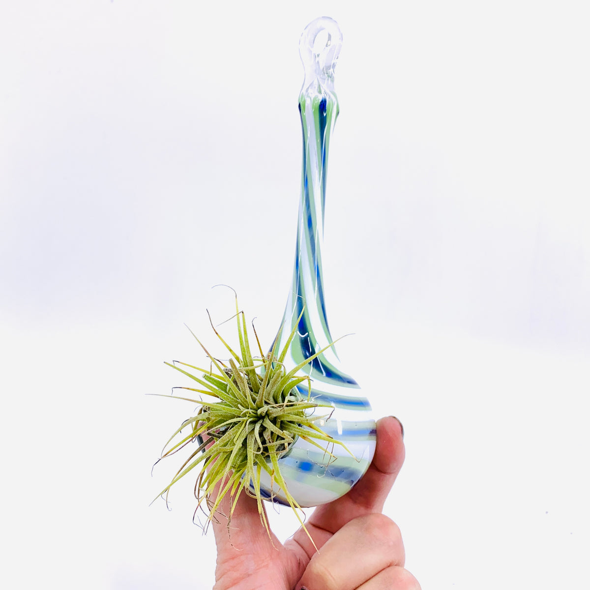 Air Plant Hanging Drop Vase 11