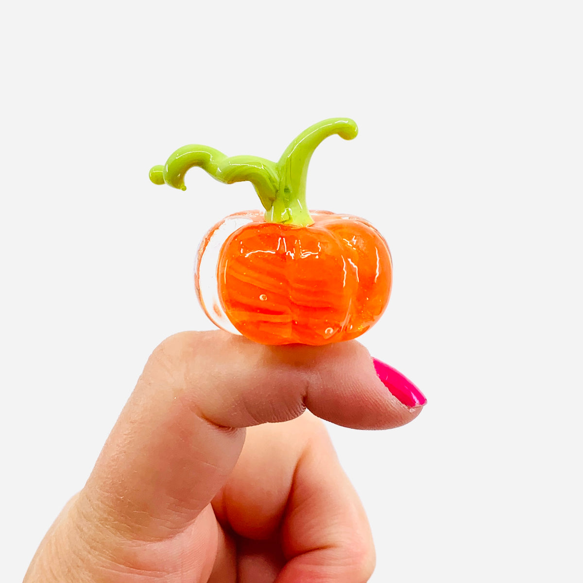 Little Curly Pumpkin, Stalk and Vine