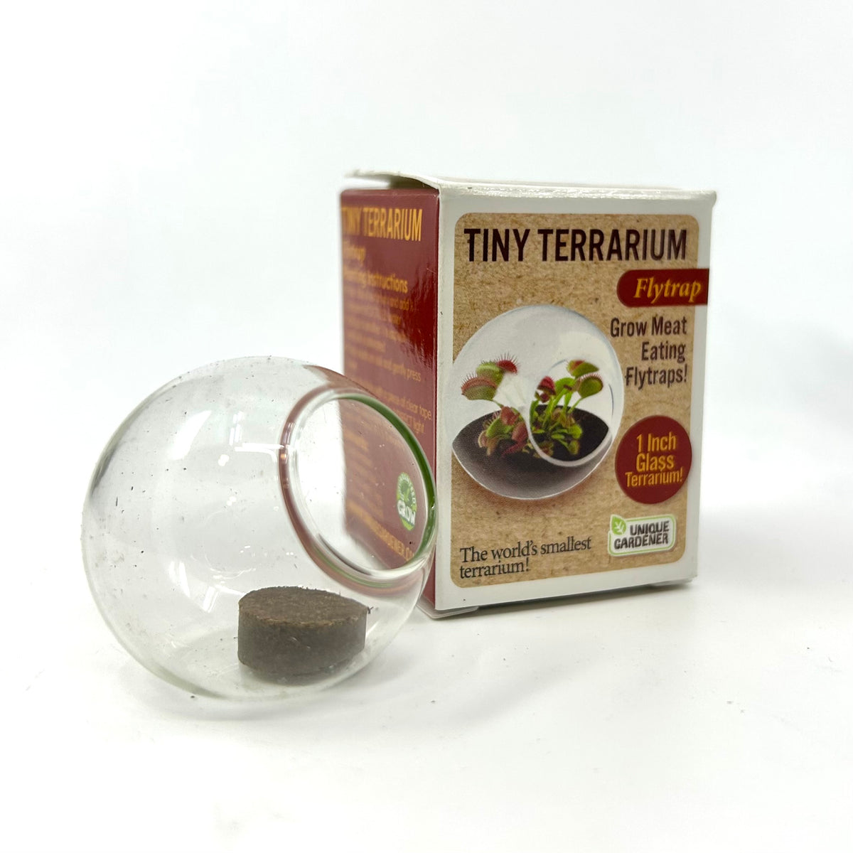 Tiny Terrarium, Flytrap