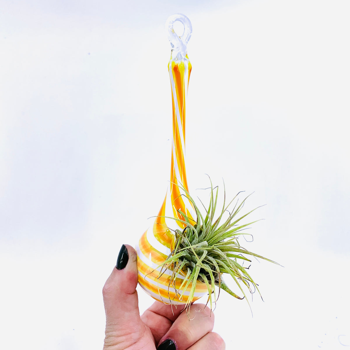 Air Plant Hanging Drop Vase 10