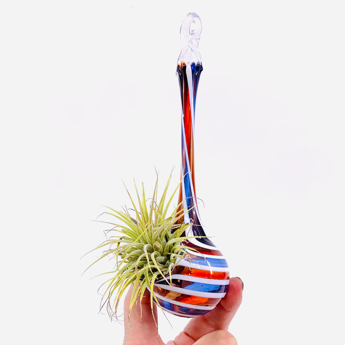 Air Plant Hanging Drop Vase 17