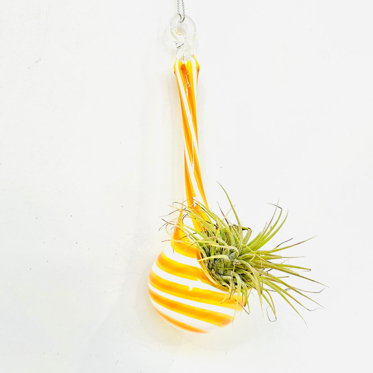 Air Plant Hanging Drop Vase 10