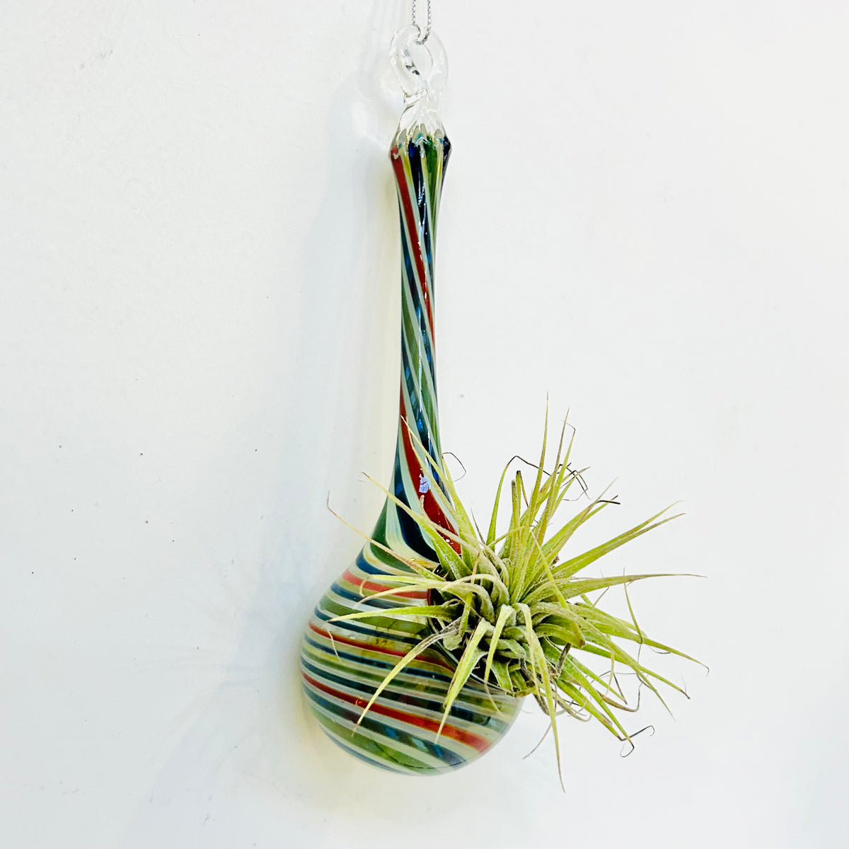 Air Plant Hanging Drop Vase 32