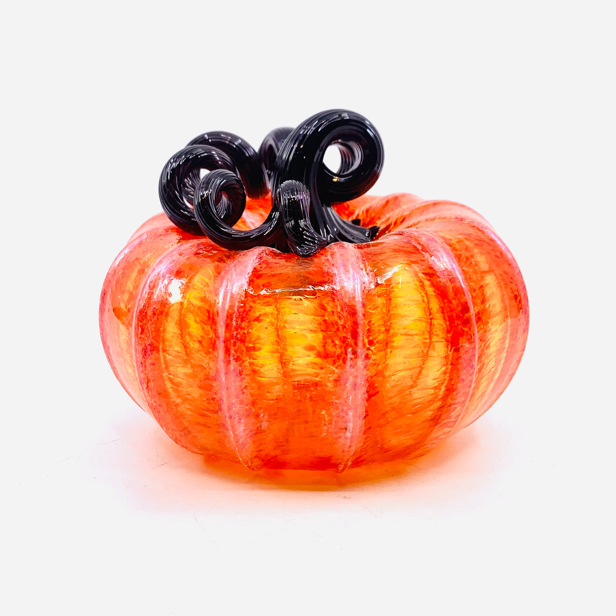 Daily Pumpkin 780 Squat