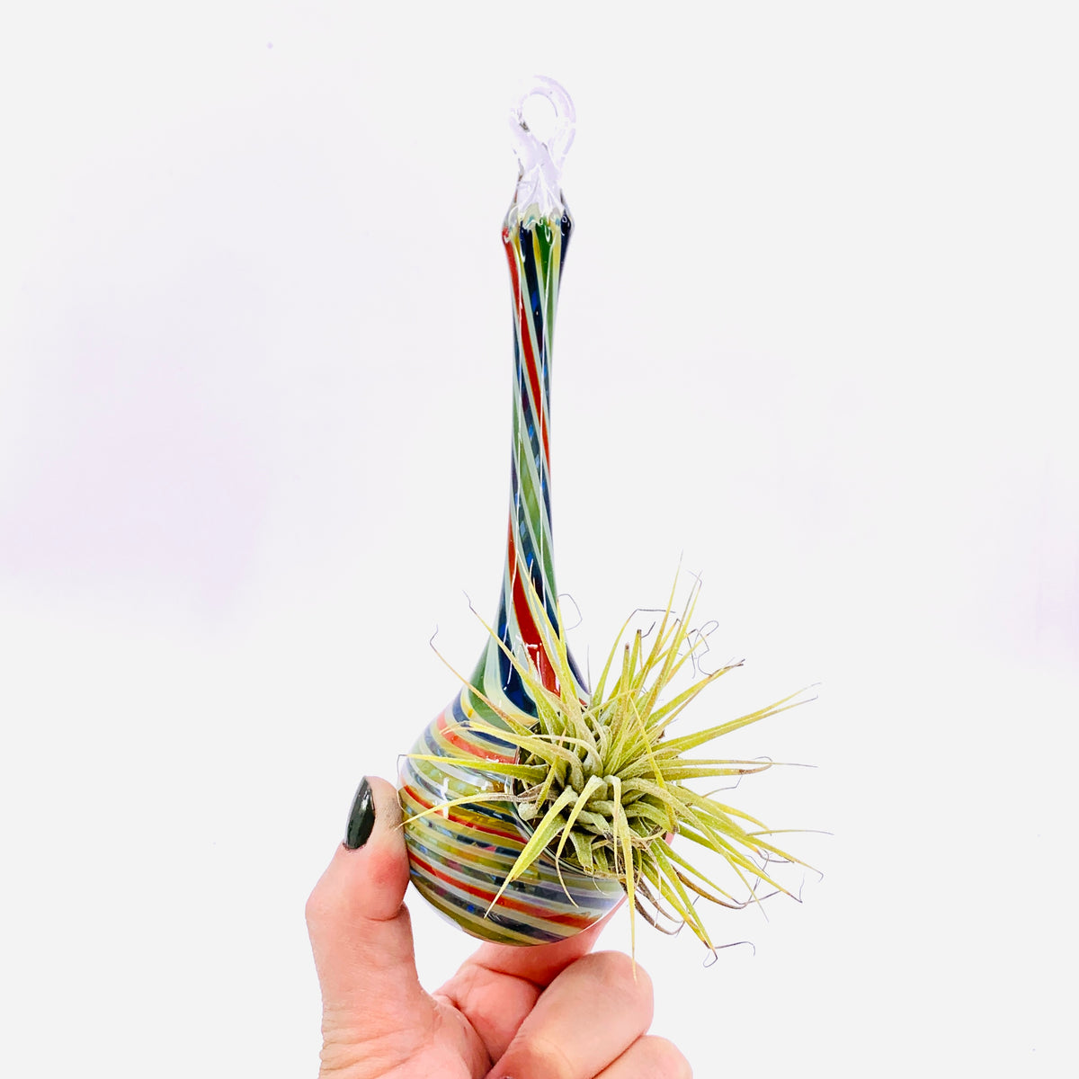 Air Plant Hanging Drop Vase 32