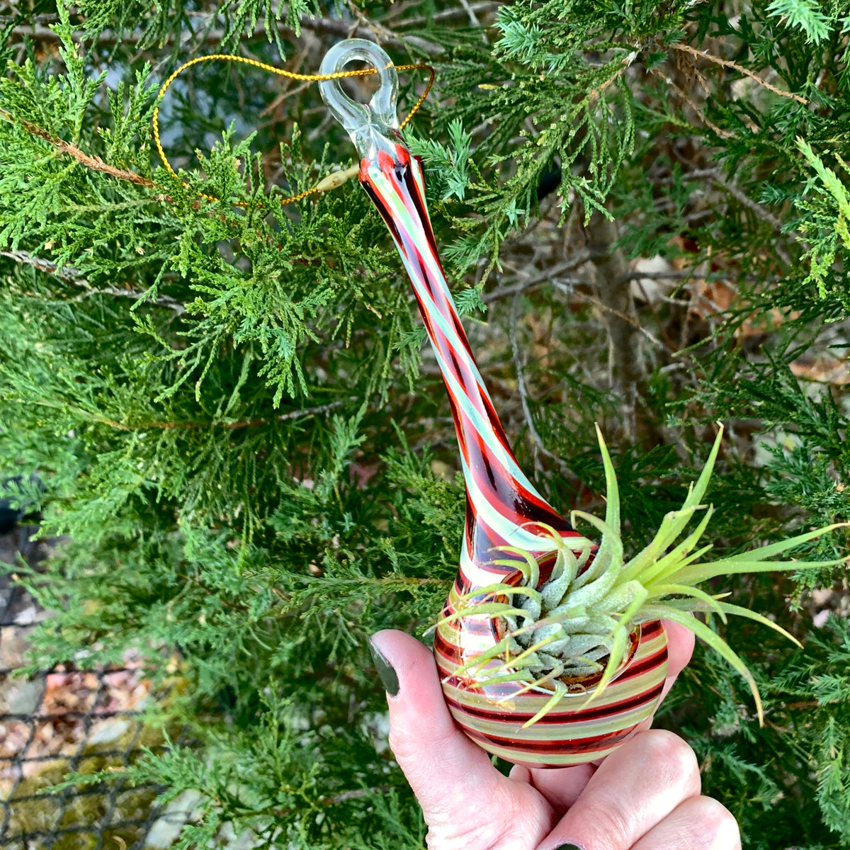 Air Plant Hanging Drop Vase 16