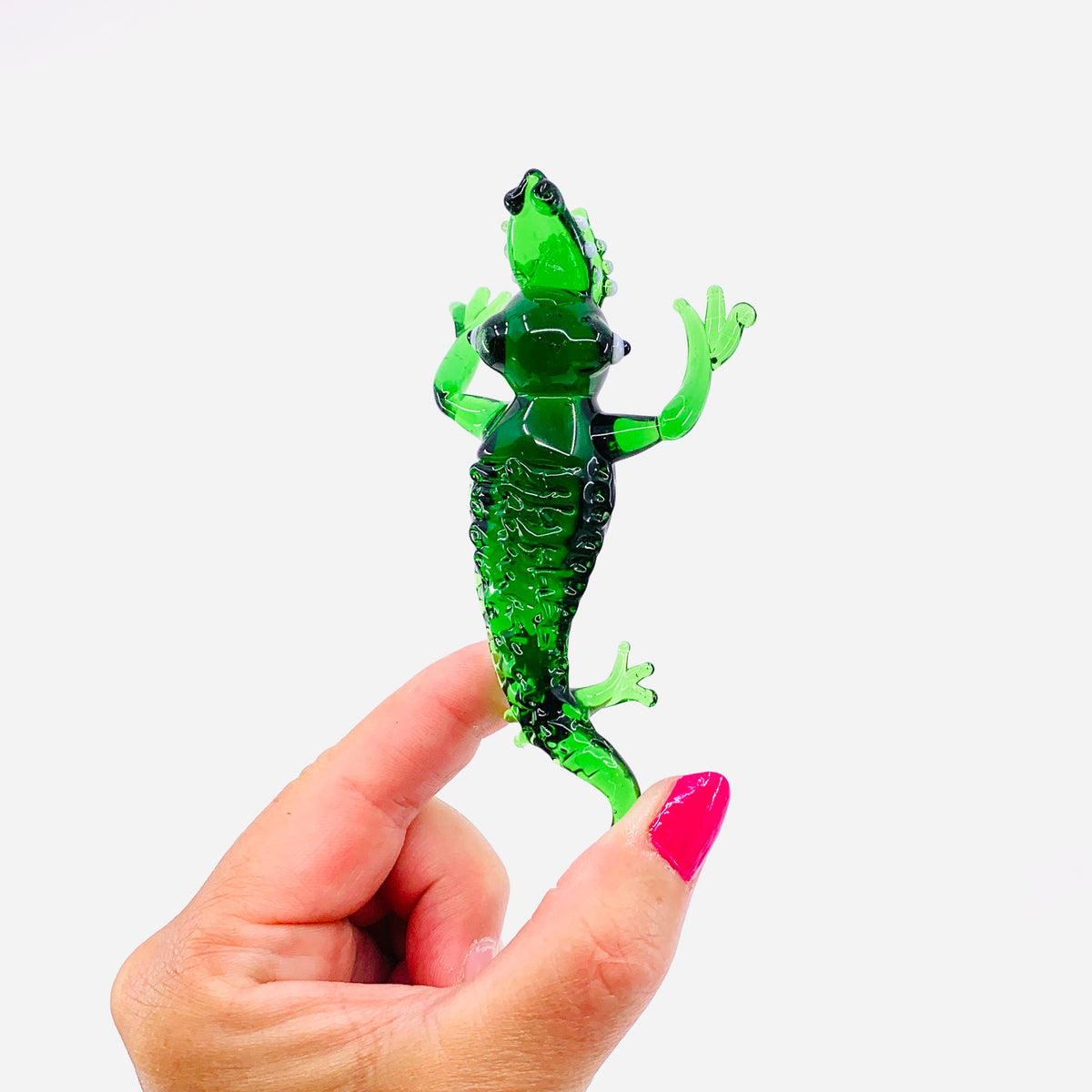 Pocket Alligator