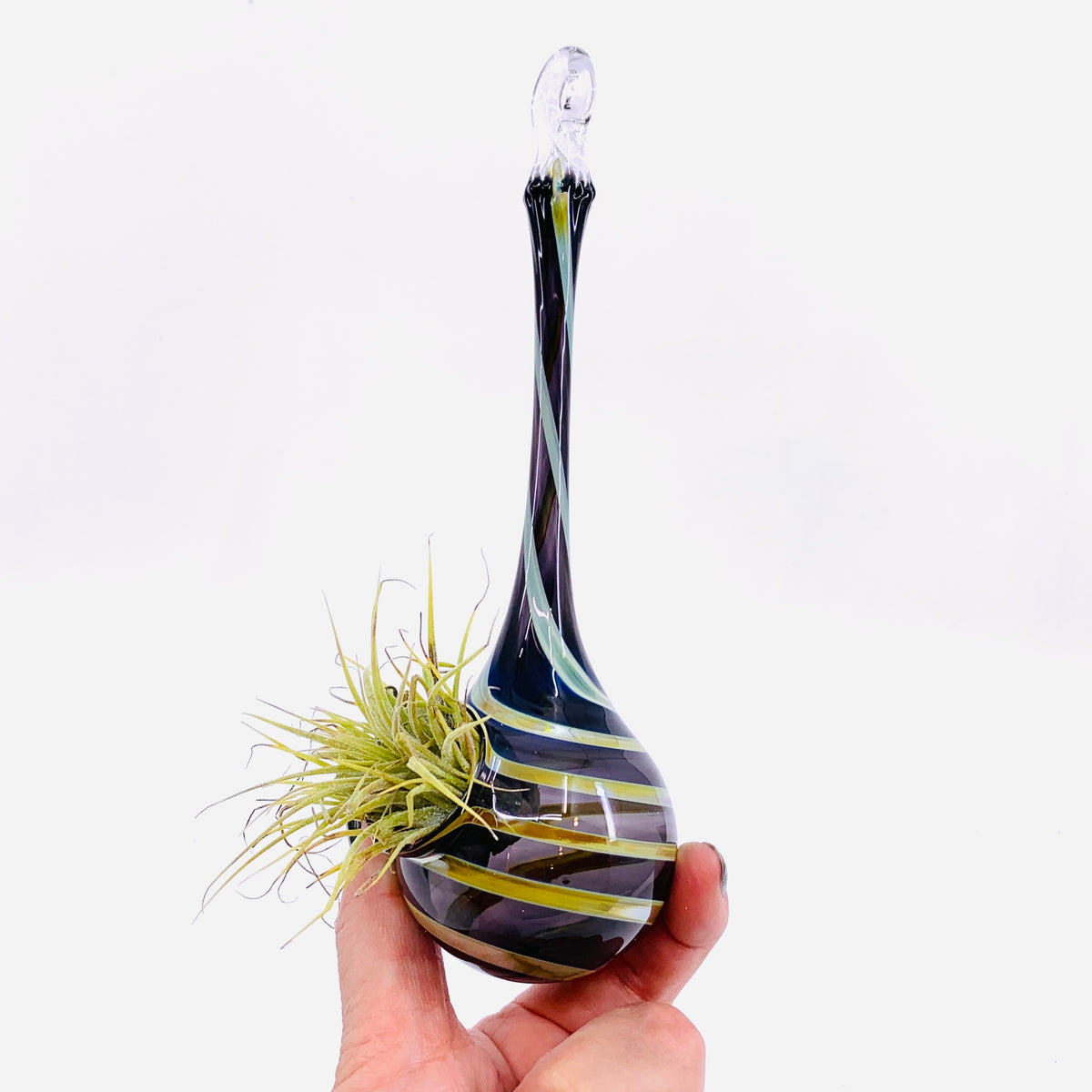 Air Plant Hanging Drop Vase 29