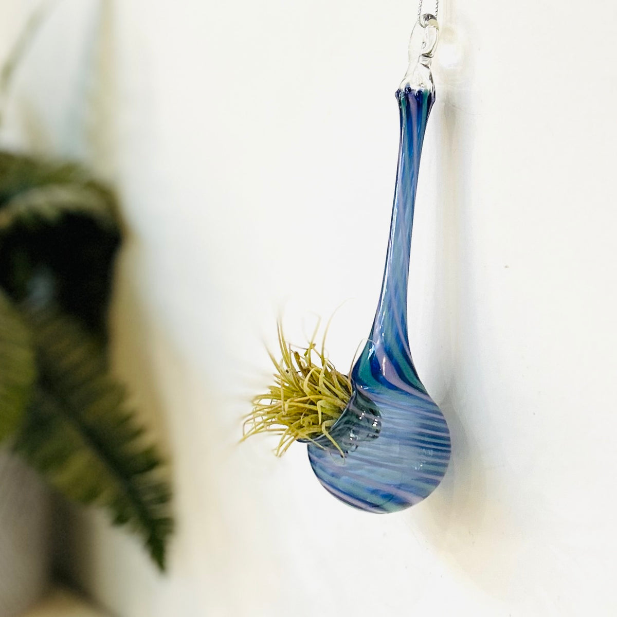 Air Plant Hanging Drop Vase 5