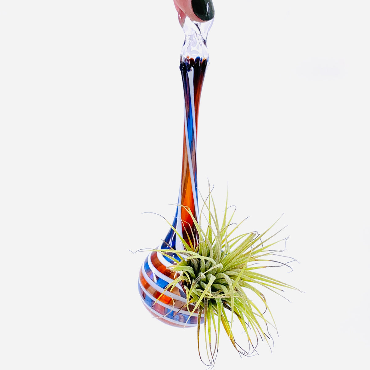 Air Plant Hanging Drop Vase 17