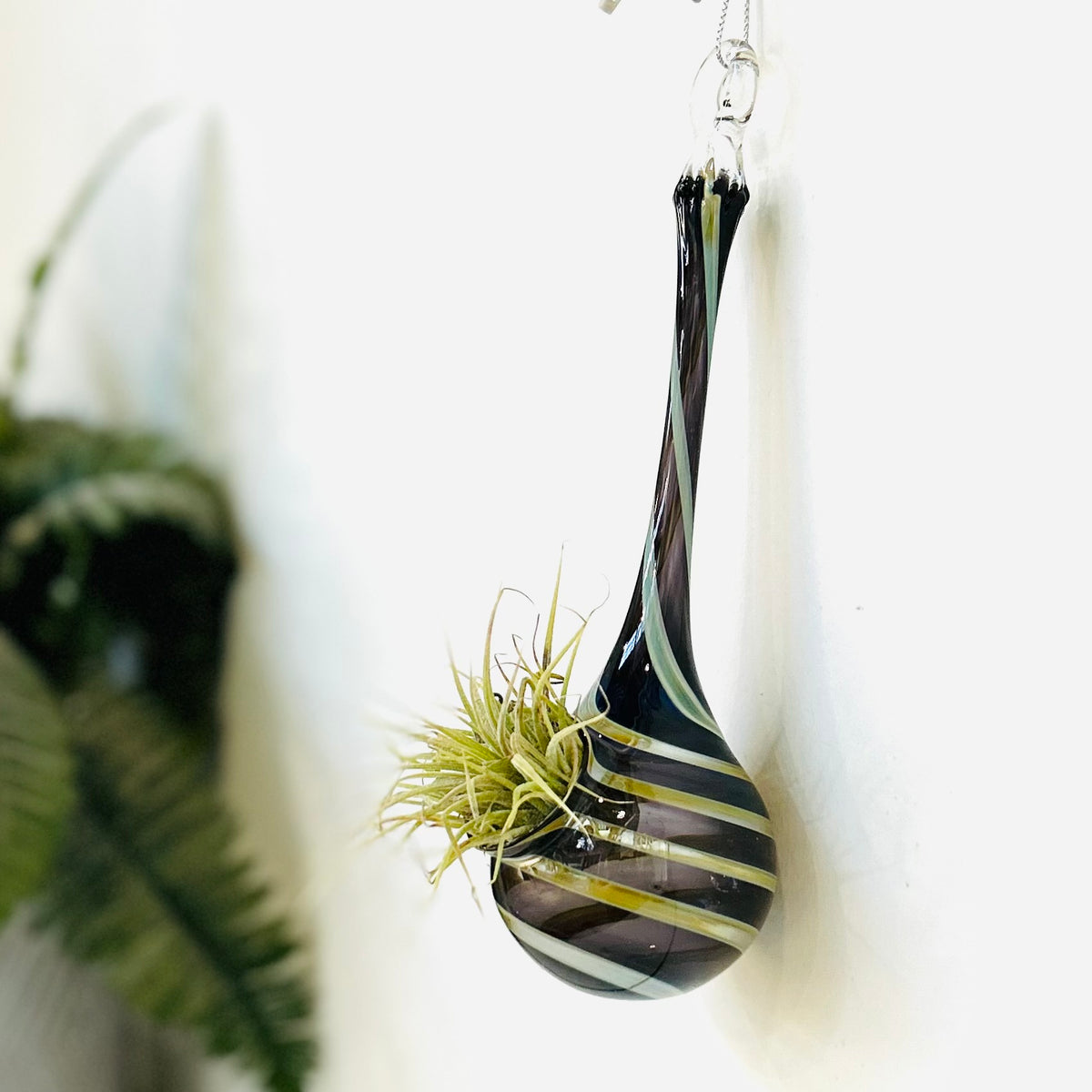 Air Plant Hanging Drop Vase 29