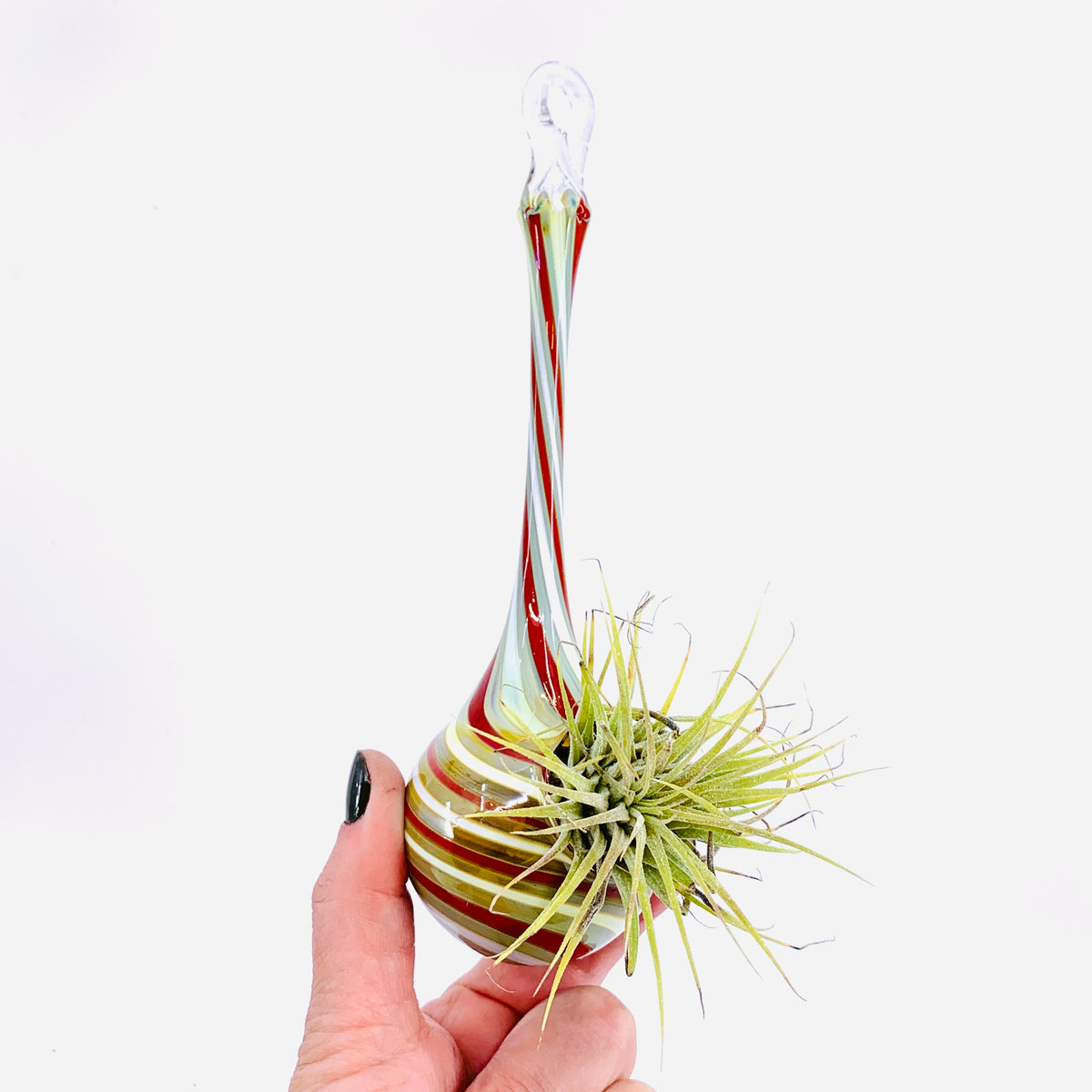 Air Plant Hanging Drop Vase 6