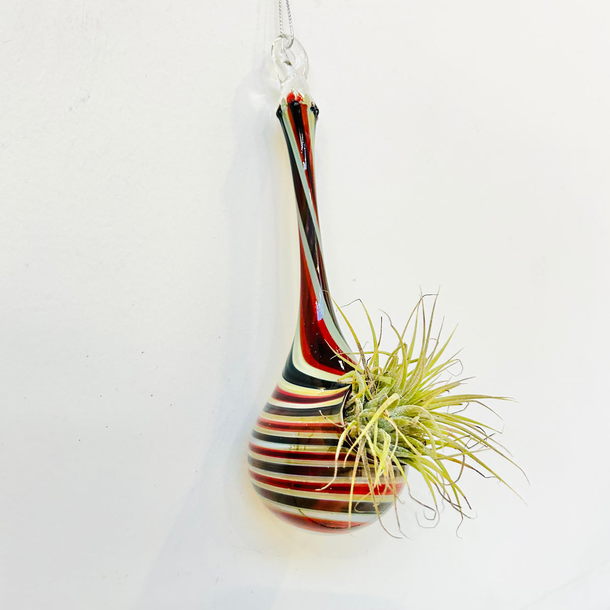 Air Plant Hanging Drop Vase 27