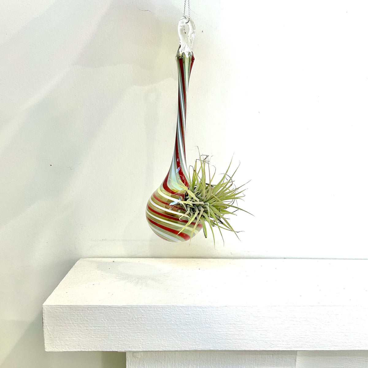 Air Plant Hanging Drop Vase 6