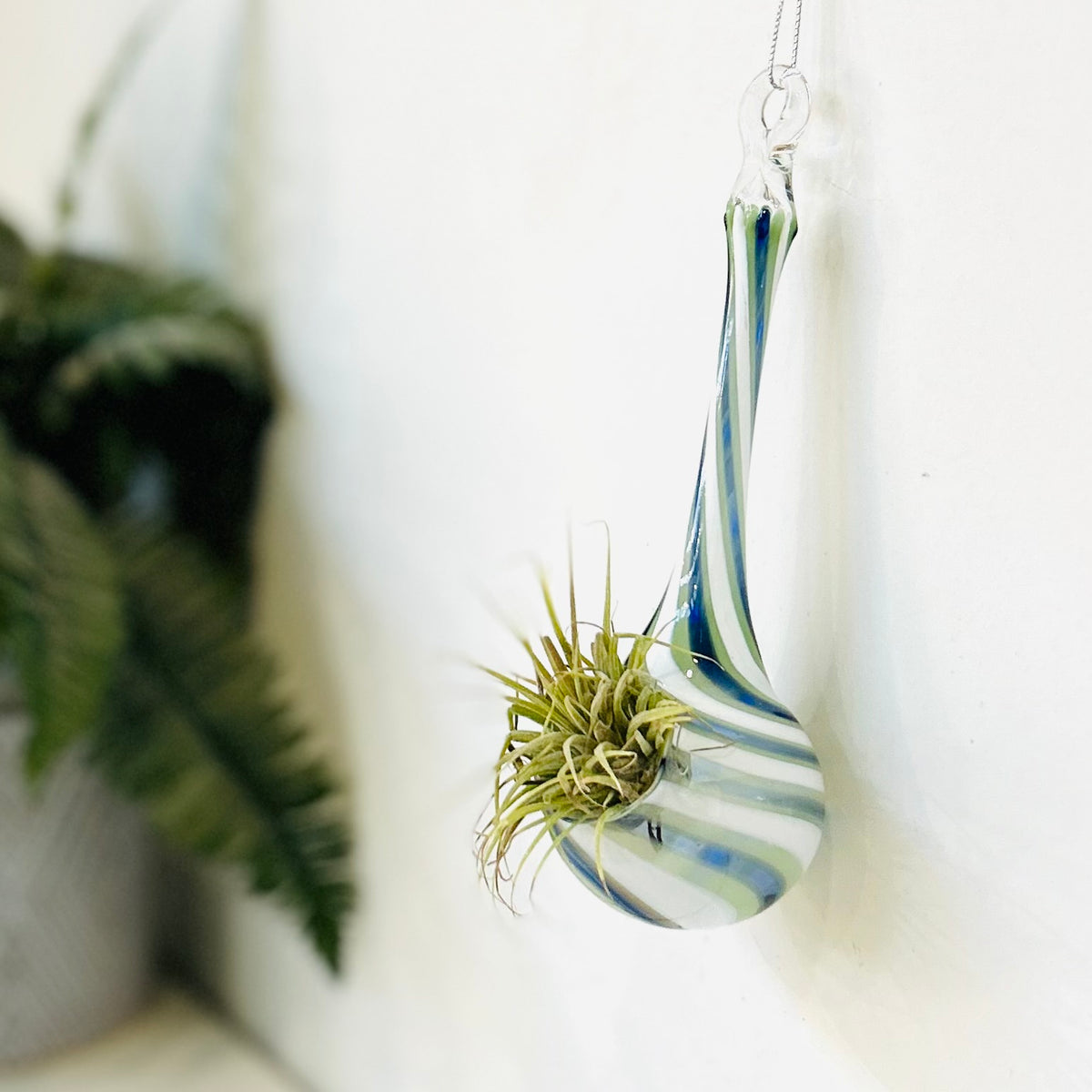 Air Plant Hanging Drop Vase 11