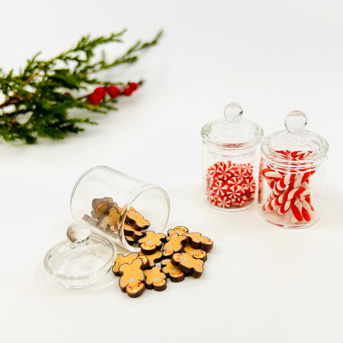 Tiniest Jar of Gingerbread Man Cookies