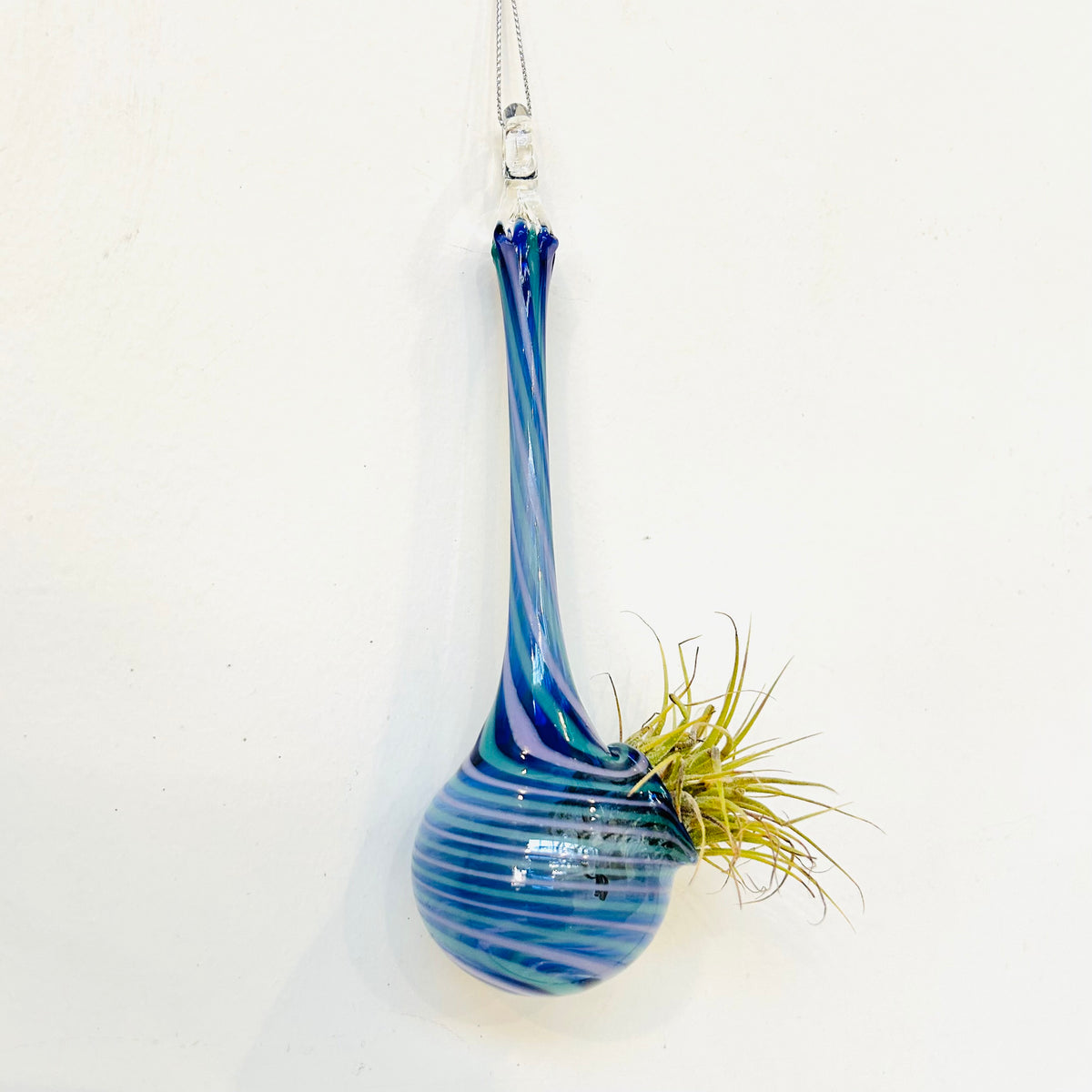 Air Plant Hanging Drop Vase 5