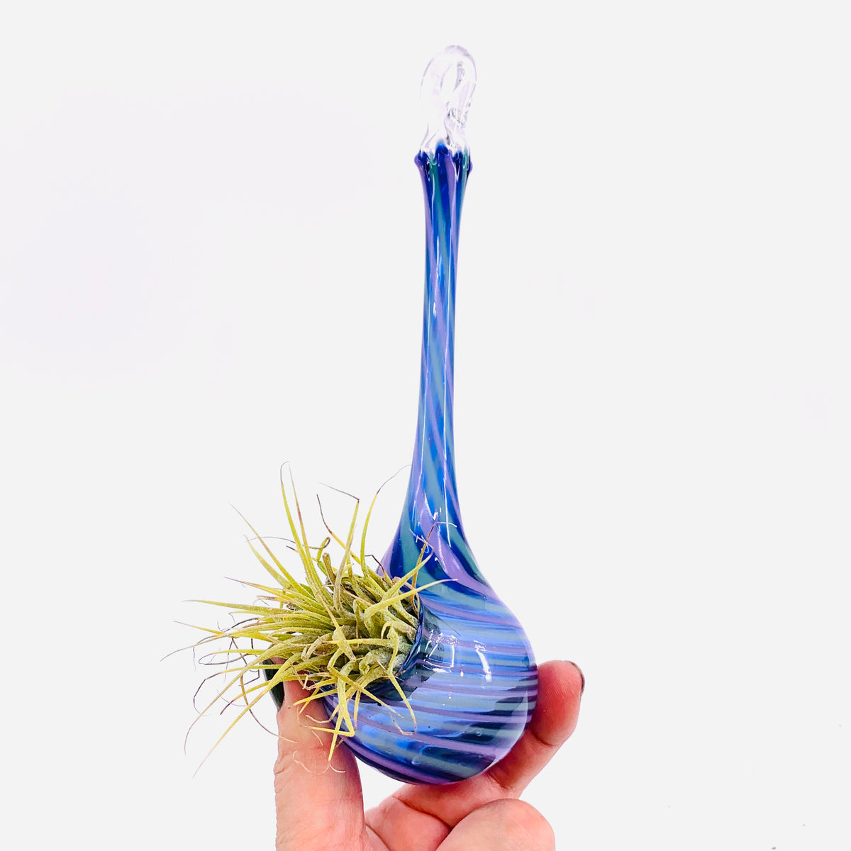 Air Plant Hanging Drop Vase 5