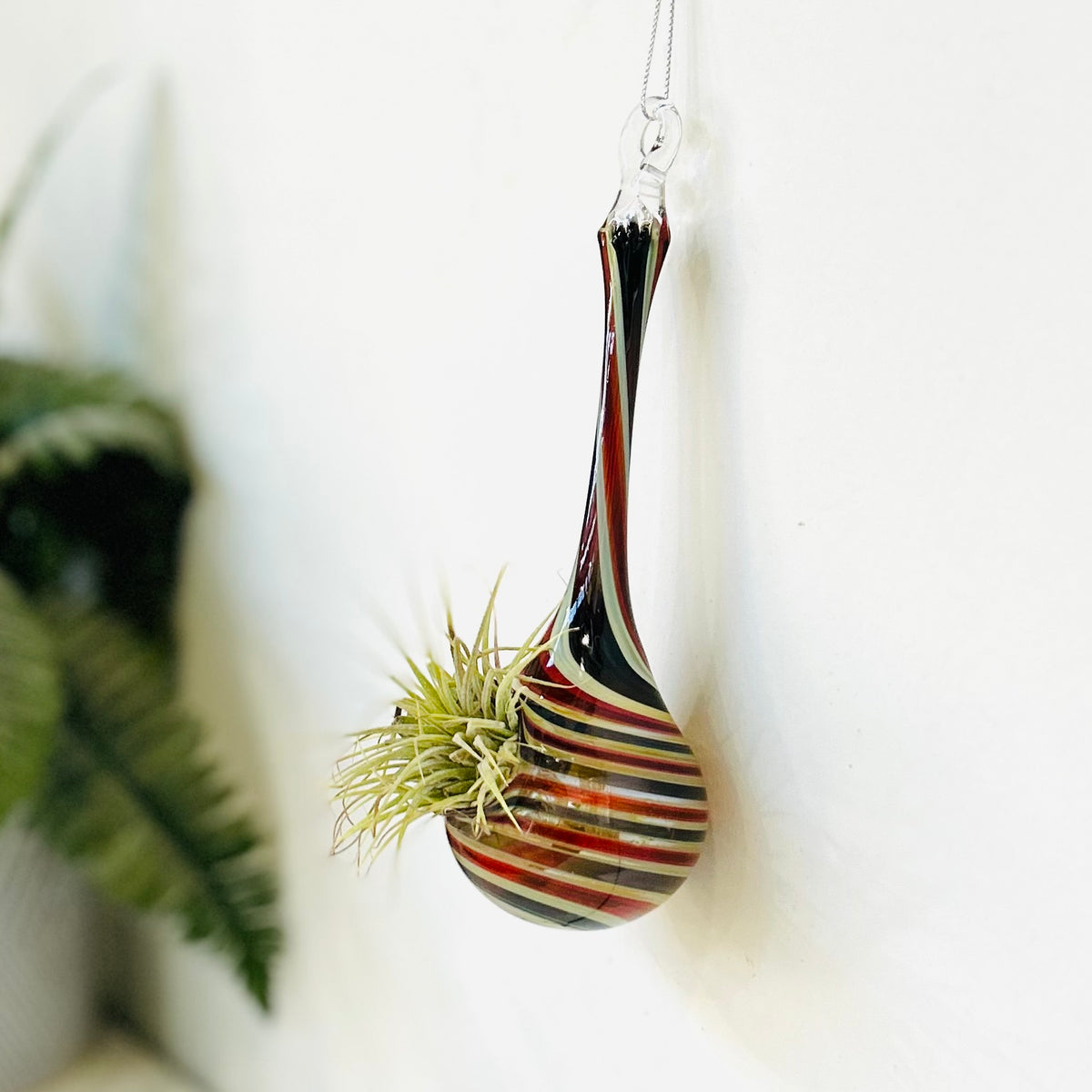 Air Plant Hanging Drop Vase 27