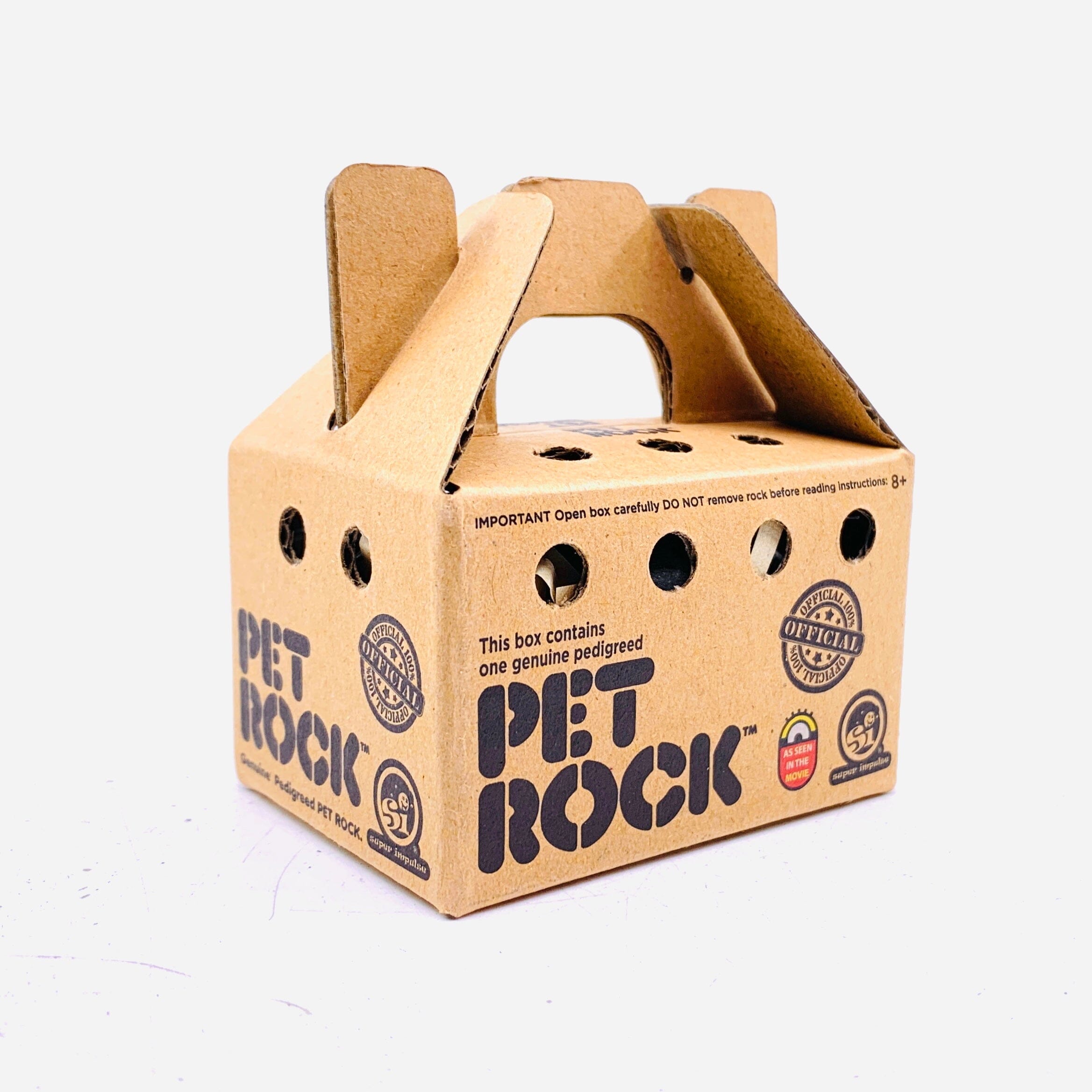 World's Smallest Pet Rock: The classic low maintenance pet in smaller form!