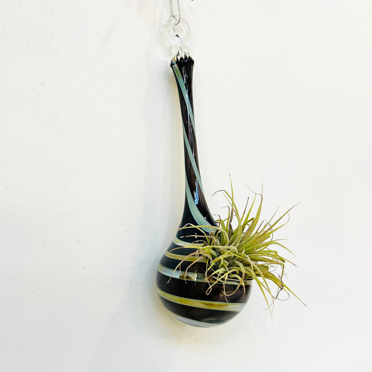 Air Plant Hanging Drop Vase 29