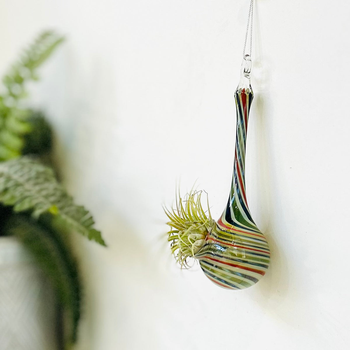 Air Plant Hanging Drop Vase 32