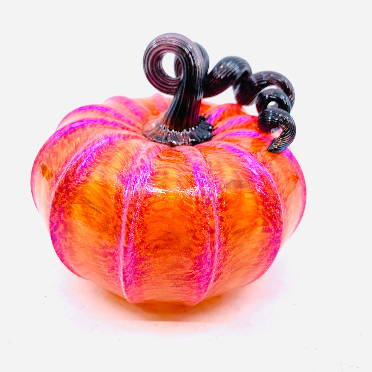 Dunkin Punkin - Orange Squat Pumpkin with Purple Shimmer and Black Stem