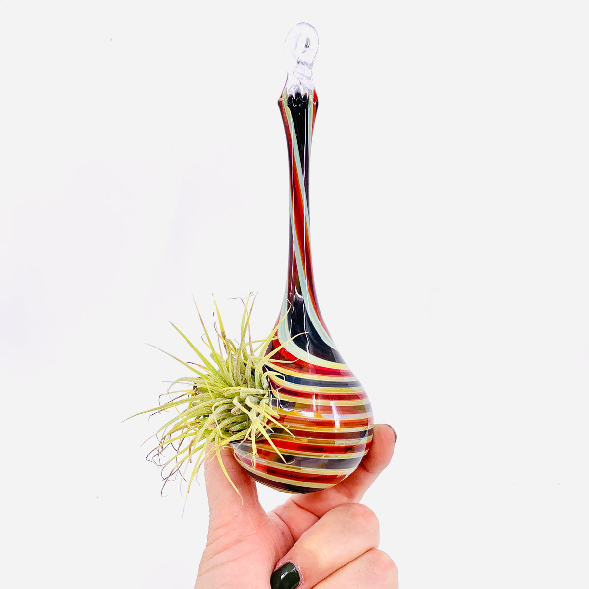 Air Plant Hanging Drop Vase 27