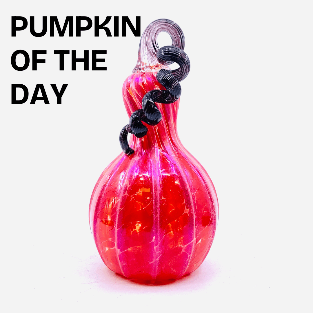 Coral Red Shimmer Gourd with Black Stem Inspo Luke Adams Glass Blowing Studio 