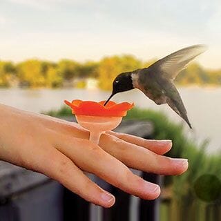 Hummingbird Feeder Ring Gift Essentials 