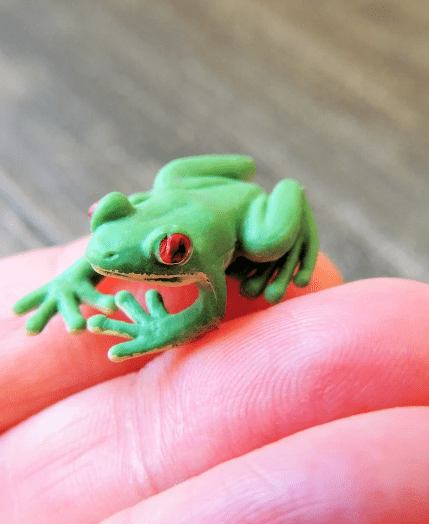 Tiny Rubber Tree Frog Safari Ltd 