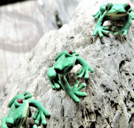 Tiny Rubber Tree Frog Safari Ltd 