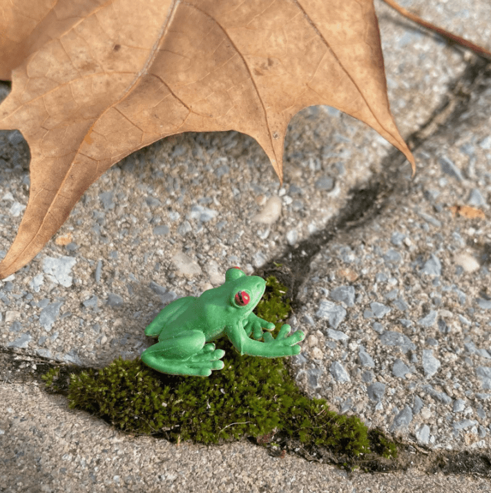 Tiny Rubber Tree Frog Safari Ltd 