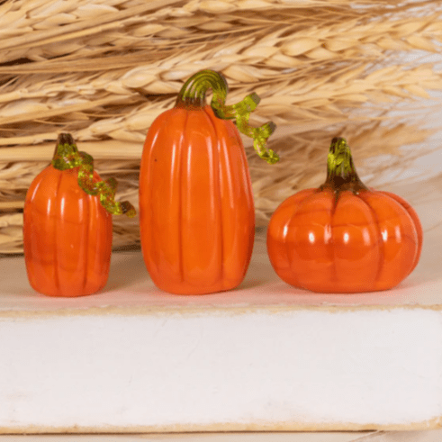 Micro Pumpkin Patch, Runner-Up Transpac 