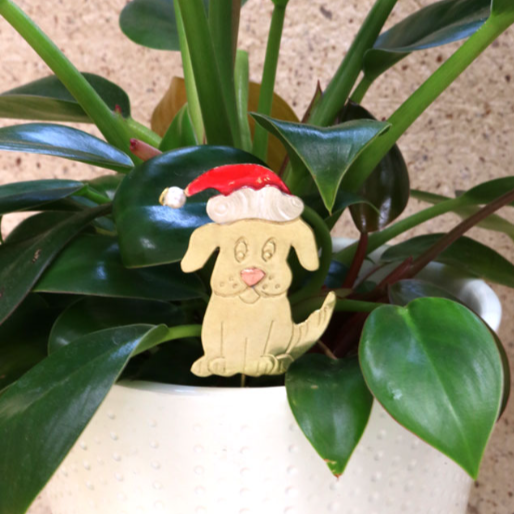 Christmas Plant Pals, Santa Hat Dog