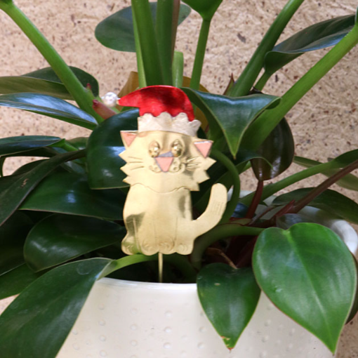 Christmas Plant Pals, Santa Hat Cat