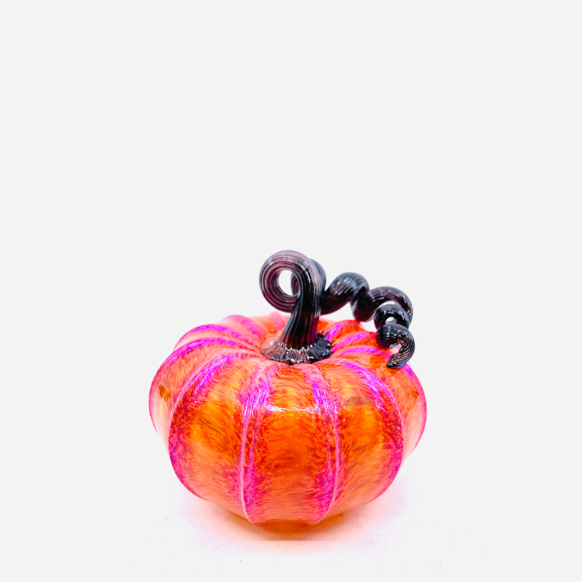 Dunkin Punkin - Orange Squat Pumpkin with Purple Shimmer and Black Stem