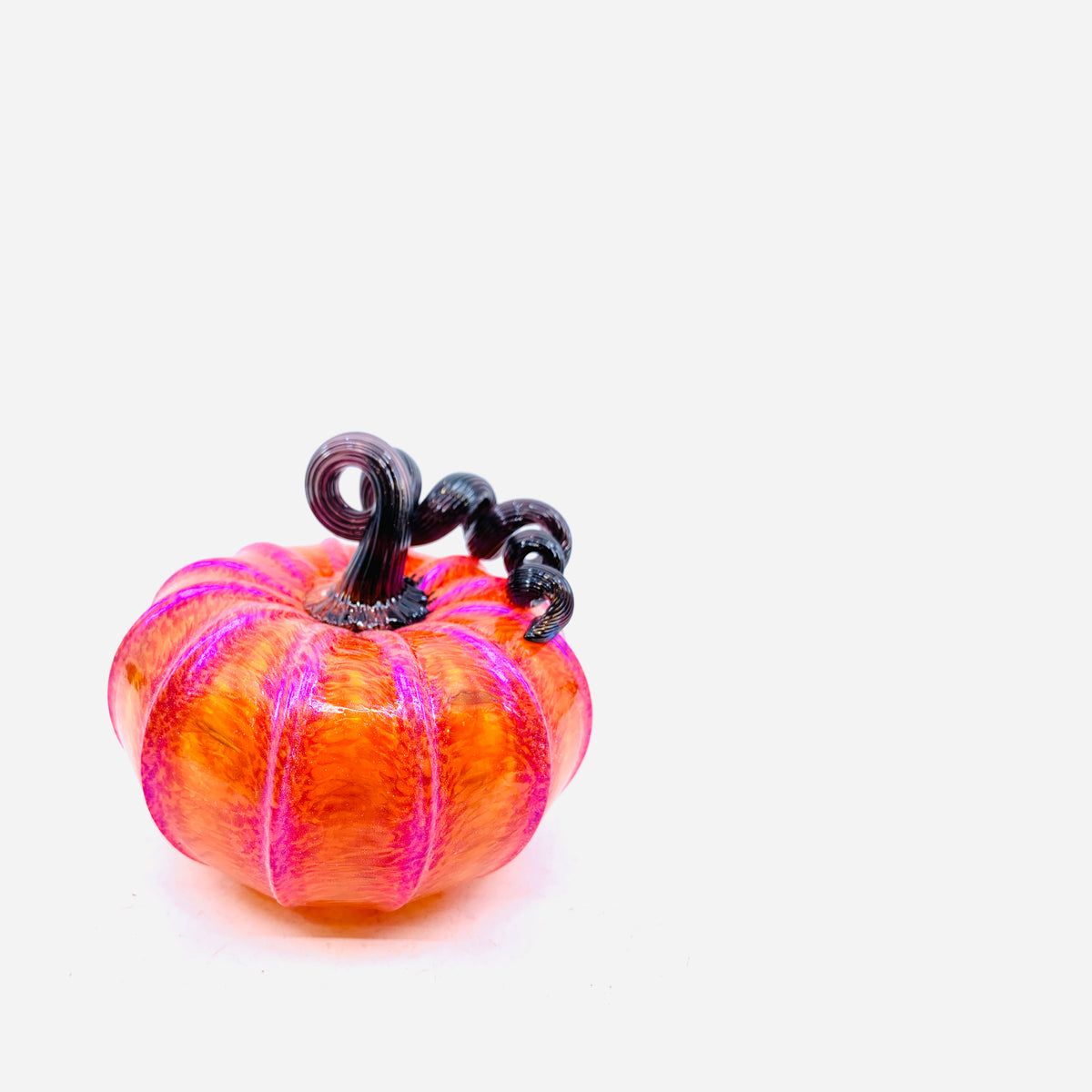 Dunkin Punkin - Orange Squat Pumpkin with Purple Shimmer and Black Stem