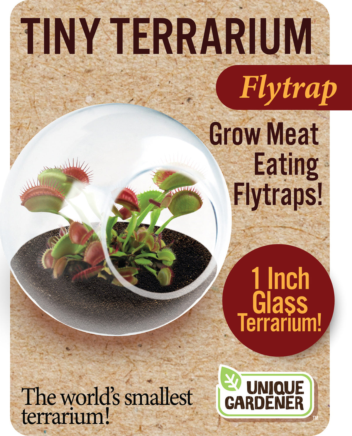 Tiny Terrarium, Flytrap