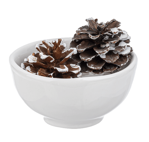 Holiday Tidbit Bowls Decor GANZ 