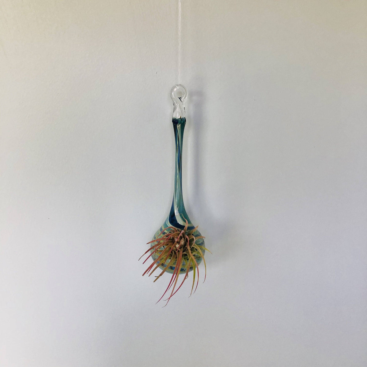 Air Plant Hanging Drop Vase 136 Luke Adams Glass Blowing Studio 