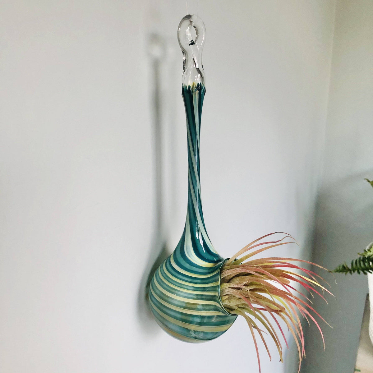 Air Plant Hanging Drop Vase 160 Luke Adams Glass Blowing Studio 