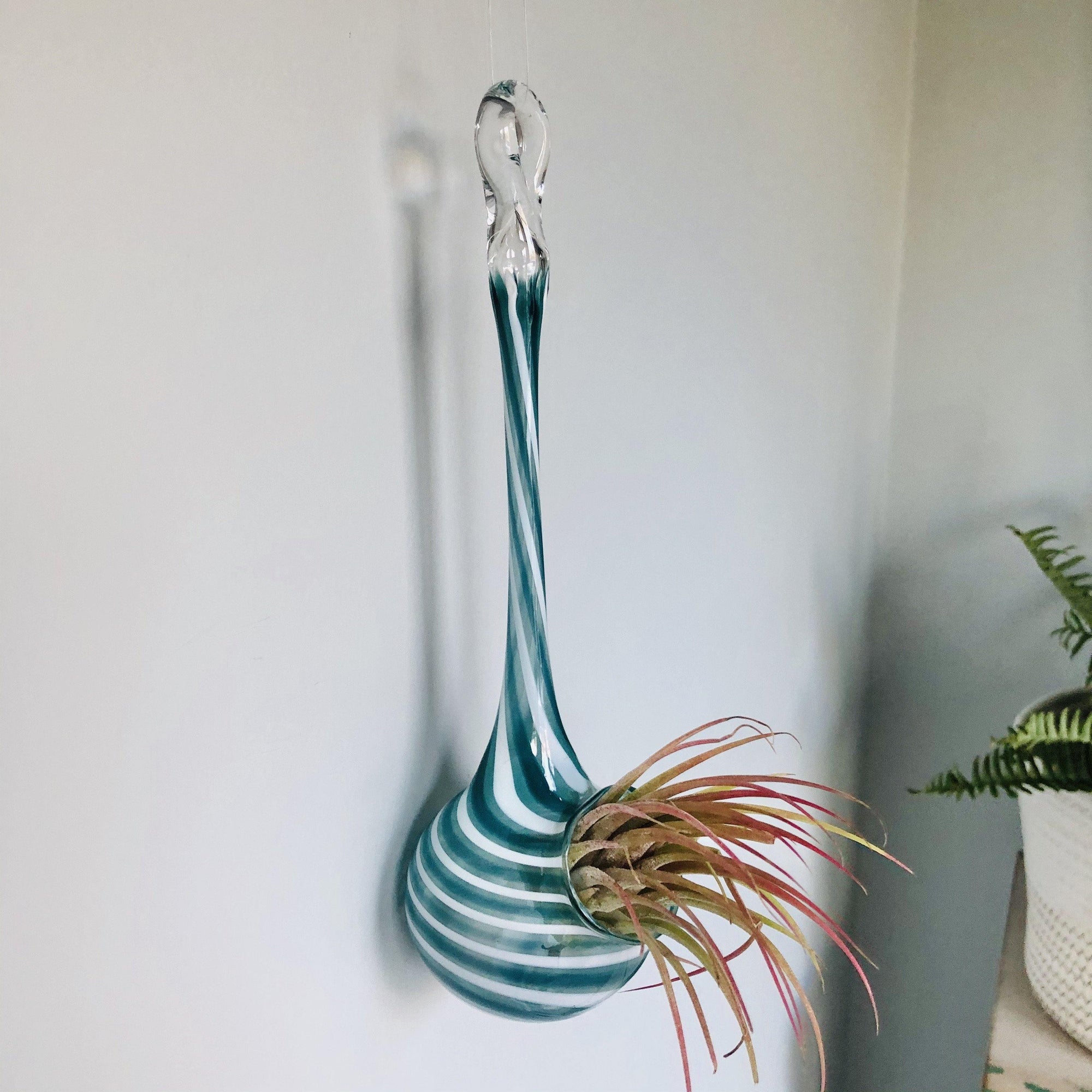 Air Plant Hanging Drop Vase 166 Luke Adams Glass Blowing Studio 