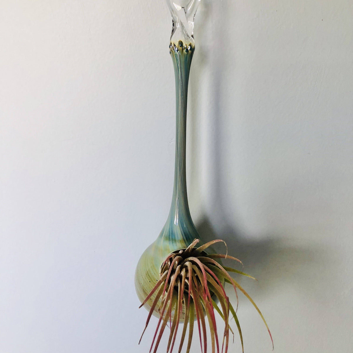 Air Plant Hanging Drop Vase 137 Luke Adams Glass Blowing Studio 