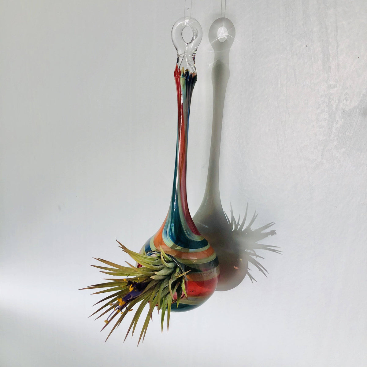 Air Plant Hanging Drop Vase 188 Luke Adams Glass Blowing Studio 