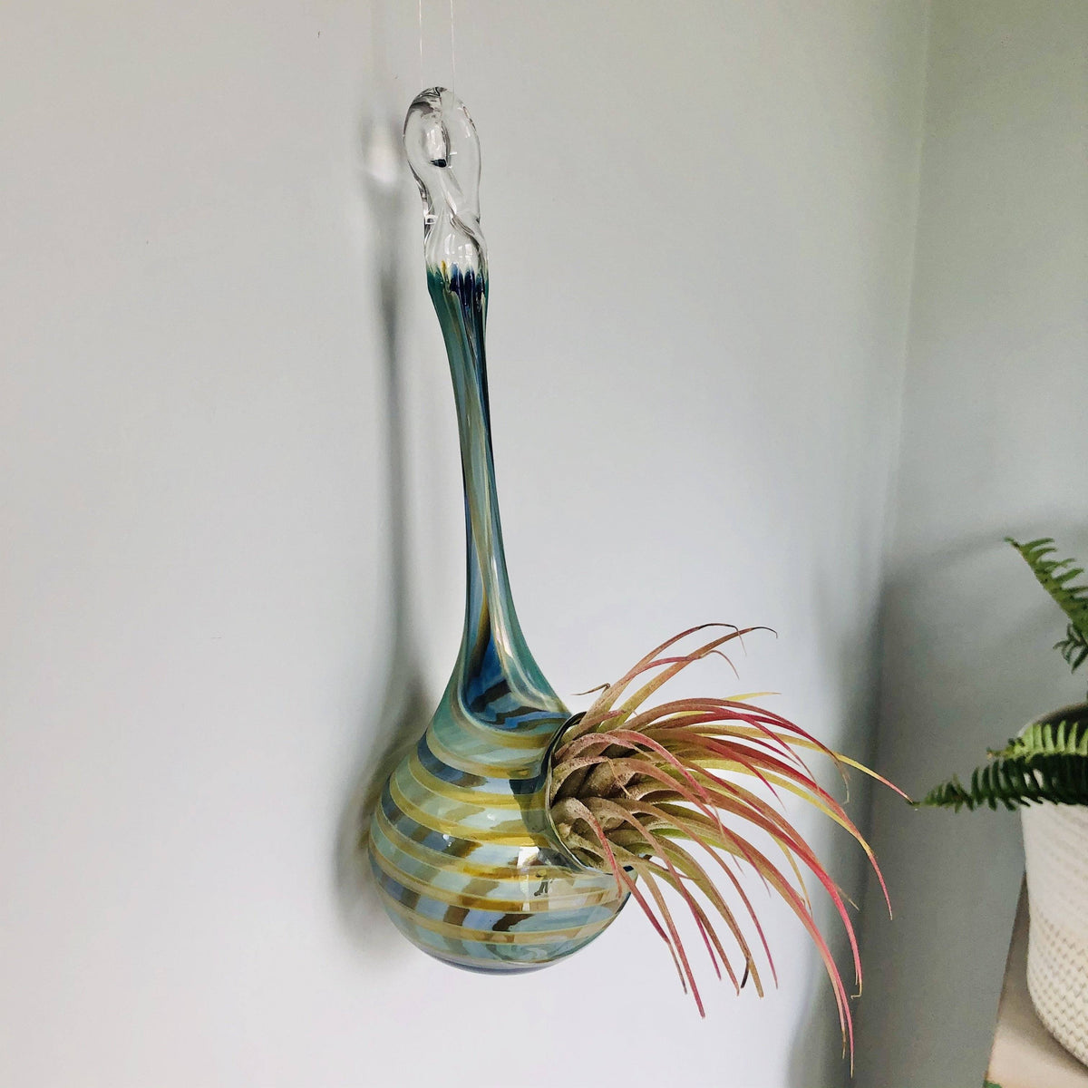 Air Plant Hanging Drop Vase 114 Luke Adams Glass Blowing Studio 